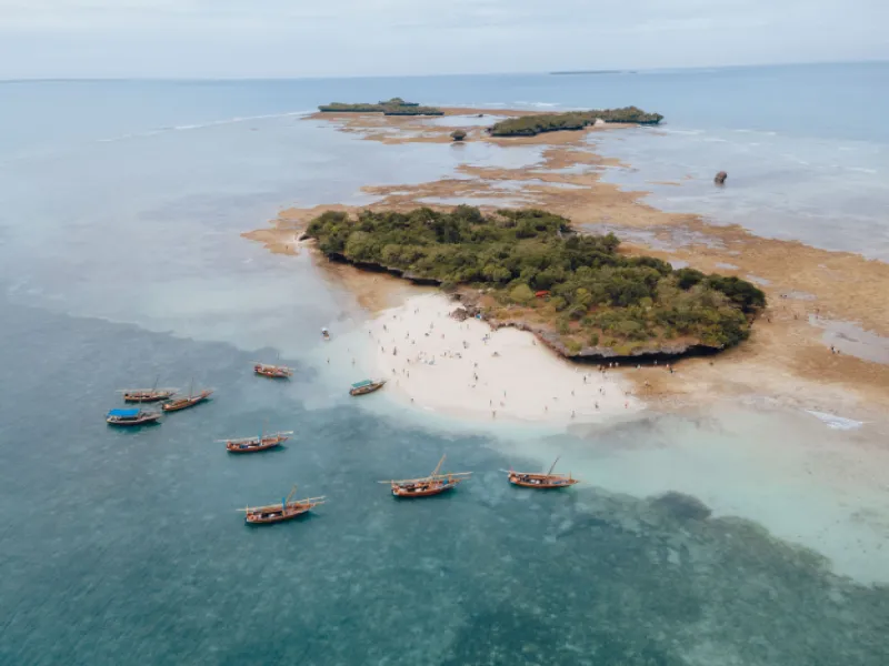 Safari Blue Full-Day Excursion
