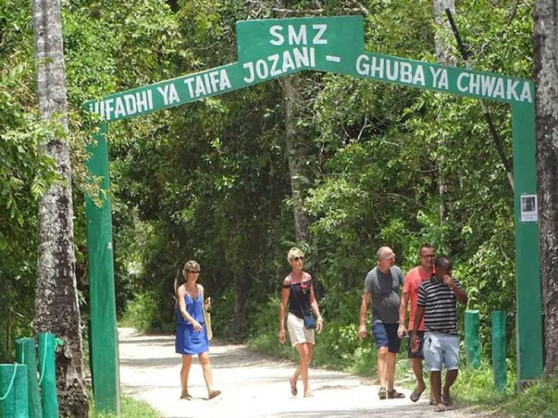 Jozani Forest Walking Tour