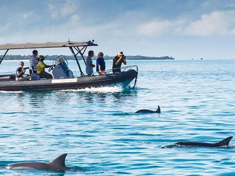 Mnemba Atoll Snorkeling Trip