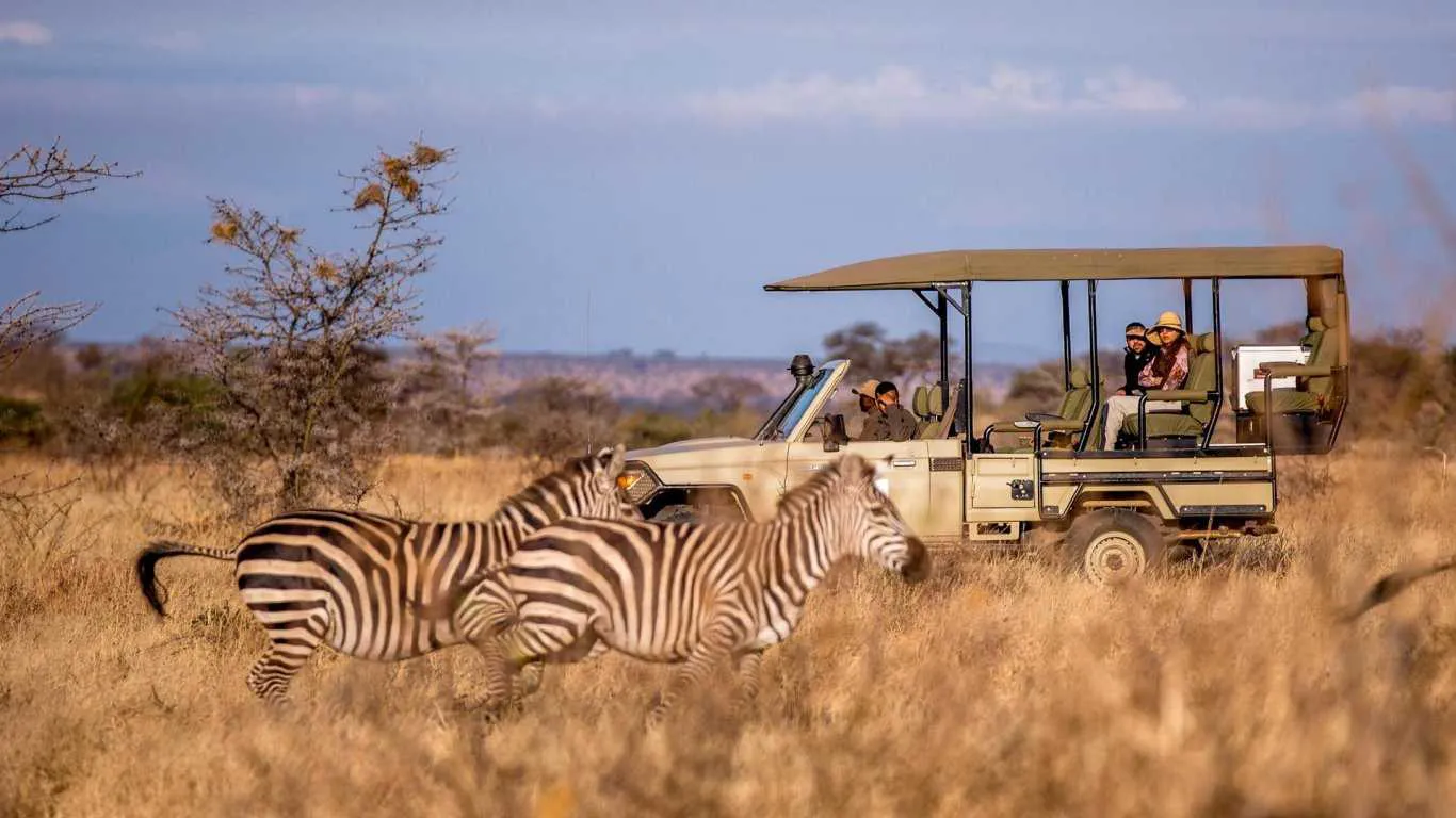 Stone Town to Serengeti, All in One
